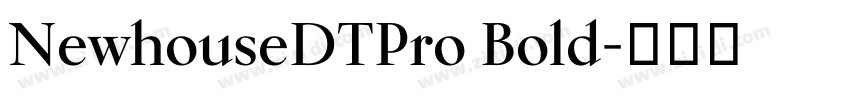 NewhouseDTPro Bold字体转换